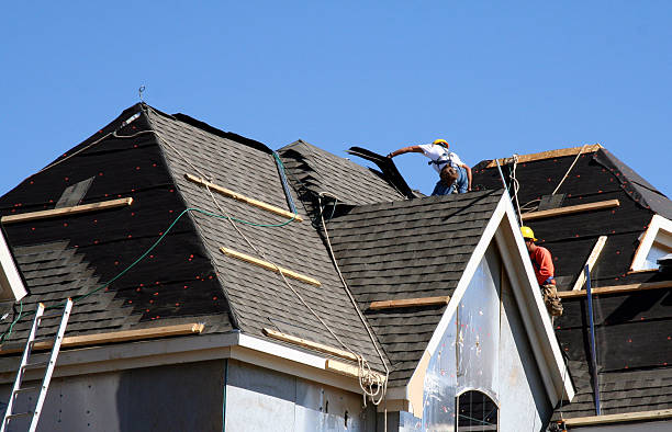 Roof Gutter Cleaning